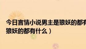今日言情小说男主是狼妖的都有什么小说（言情小说男主是狼妖的都有什么）
