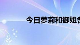 今日萝莉和御姐各是什么意思