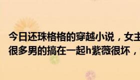 今日还珠格格的穿越小说，女主穿到小燕子身上，np的，和很多男的搞在一起h紫薇很坏，金锁是派来报仇的