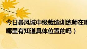 今日暴风城中级裁缝训练师在哪里（潘达利亚裁缝训练师在哪里有知道具体位置的吗）