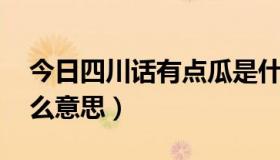 今日四川话有点瓜是什么意思（有点瓜 是什么意思）