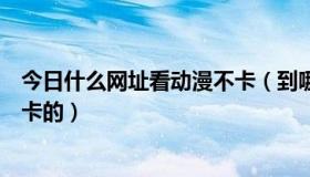 今日什么网址看动漫不卡（到哪个动漫网站在线看动漫不会卡的）