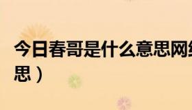 今日春哥是什么意思网络用语（春哥是什么意思）