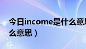 今日income是什么意思翻译（Income是什么意思）