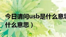 今日请问usb是什么意思啊（usb support是什么意思）