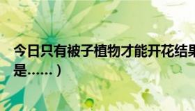 今日只有被子植物才能开花结果吗（被子植物的开花过程应是……）