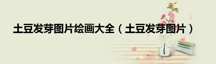 土豆发芽图片绘画大全（土豆发芽图片）