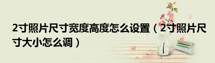 2寸照片尺寸宽度高度怎么设置（2寸照片尺寸大小怎么调）