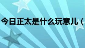 今日正太是什么玩意儿（正太的意思 什么啊）