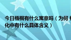 今日梧桐有什么寓意吗（为何 梧桐 代表男性 梧桐 在中国文化中有什么具体含义）