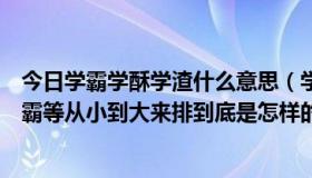 今日学霸学酥学渣什么意思（学渣、学酥、学屌、学神、学霸等从小到大来排到底是怎样的）