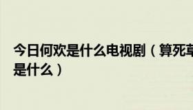 今日何欢是什么电视剧（算死草何欢行刑时的那段背景音乐是什么）