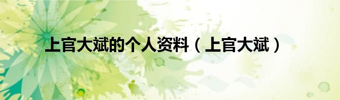 上官大斌的个人资料（上官大斌）
