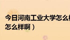 今日河南工业大学怎么样知乎（河南工业大学怎么样啊）