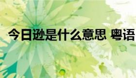 今日逊是什么意思 粤语（好逊是什么意思）