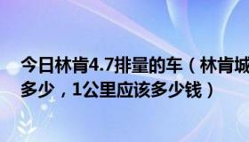 今日林肯4.7排量的车（林肯城市8个缸的4.6排量耗油量是多少，1公里应该多少钱）