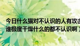 今日什么猫对不认识的人有攻击性（RSTARS这几个人都是谁极度干燥什么的都不认识啊）