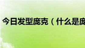 今日发型庞克（什么是庞克头，最好给个图）