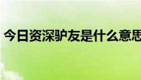 今日资深驴友是什么意思（驴友是什么意思）
