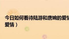 今日如何看待陆游和唐婉的爱情观（如何看待陆游和唐婉的爱情）