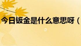 今日钣金是什么意思呀（钣金 是什么意思呀）