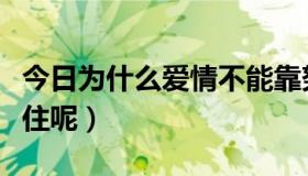 今日为什么爱情不能靠努力（为什么爱情靠不住呢）