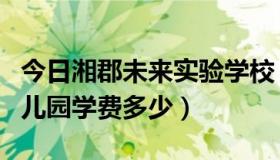 今日湘郡未来实验学校（湘郡未来实验学校幼儿园学费多少）