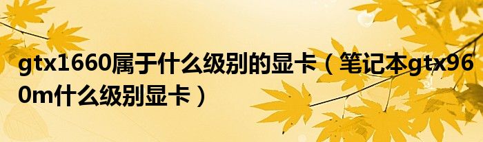 gtx1660属于什么级别的显卡（笔记本gtx960m什么级别显卡）