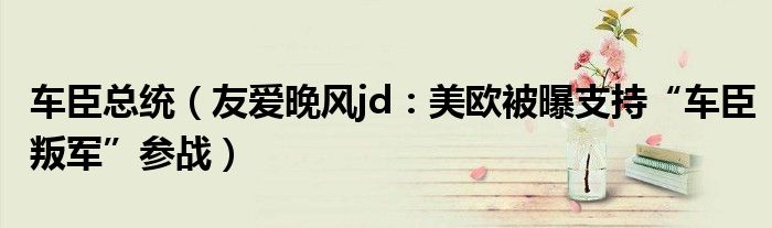 车臣总统（友爱晚风jd：美欧被曝支持“车臣叛军”参战）
