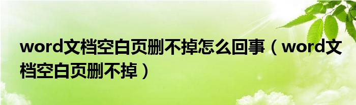 word文档空白页删不掉怎么回事（word文档空白页删不掉）