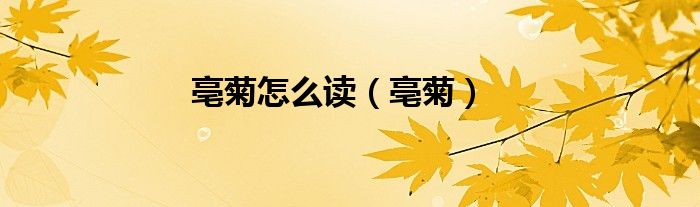 亳菊怎么读（亳菊）