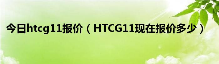 今日htcg11报价（HTCG11现在报价多少）