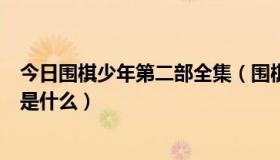 今日围棋少年第二部全集（围棋少年第二部共有多少集结局是什么）