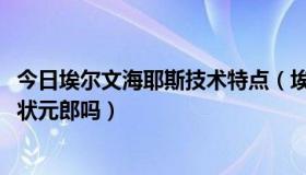 今日埃尔文海耶斯技术特点（埃尔文-海耶斯是被评价过低的状元郎吗）