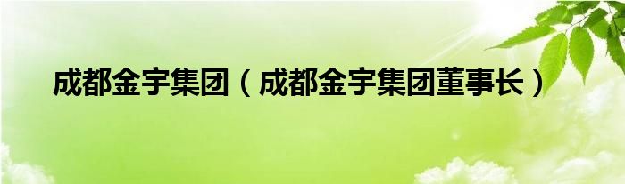 成都金宇集团（成都金宇集团董事长）