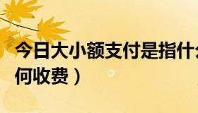 今日大小额支付是指什么（大小额支付系统如何收费）