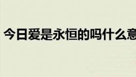 今日爱是永恒的吗什么意思（爱是永恒的吗）