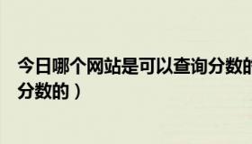 今日哪个网站是可以查询分数的软件（哪个网站是可以查询分数的）