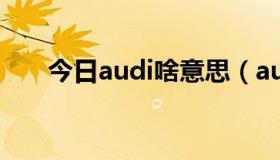 今日audi啥意思（audit是什么意思）