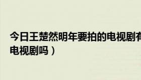 今日王楚然明年要拍的电视剧有哪些名字（俞承浩明年会拍电视剧吗）