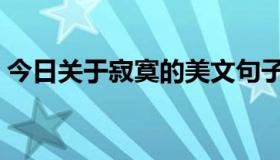 今日关于寂寞的美文句子（关于寂寞的文章）
