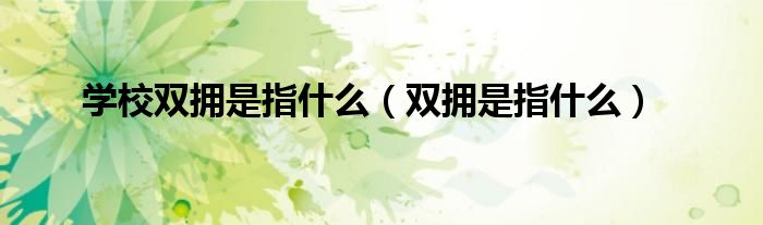 学校双拥是指什么（双拥是指什么）