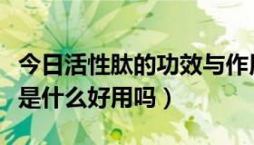 今日活性肽的功效与作用是什么（活性巢体素是什么好用吗）