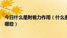 今日什么是附着力作用（什么是附着力影响附着力的因素有哪些）