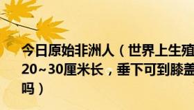 今日原始非洲人（世界上生殖器最大的民族:非洲象人族JJ有20~30厘米长，垂下可到膝盖以下，甚至有的拖地. 是真的吗）