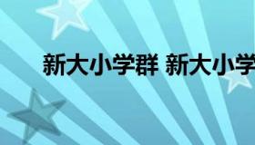 新大小学群 新大小学五一班家长群35