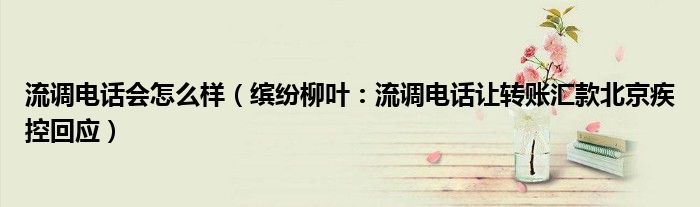 流调电话会怎么样（缤纷柳叶：流调电话让转账汇款北京疾控回应）