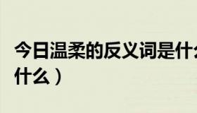 今日温柔的反义词是什么鲁（温柔的反义词是什么）