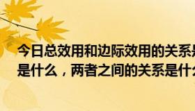今日总效用和边际效用的关系是什么?（总效用和边际效用是什么，两者之间的关系是什么）