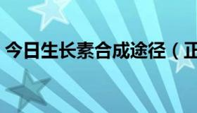 今日生长素合成途径（正常人用生长素好吗）